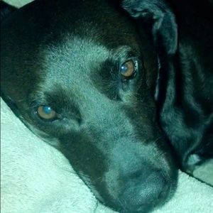 Meet your Posher, Jacie